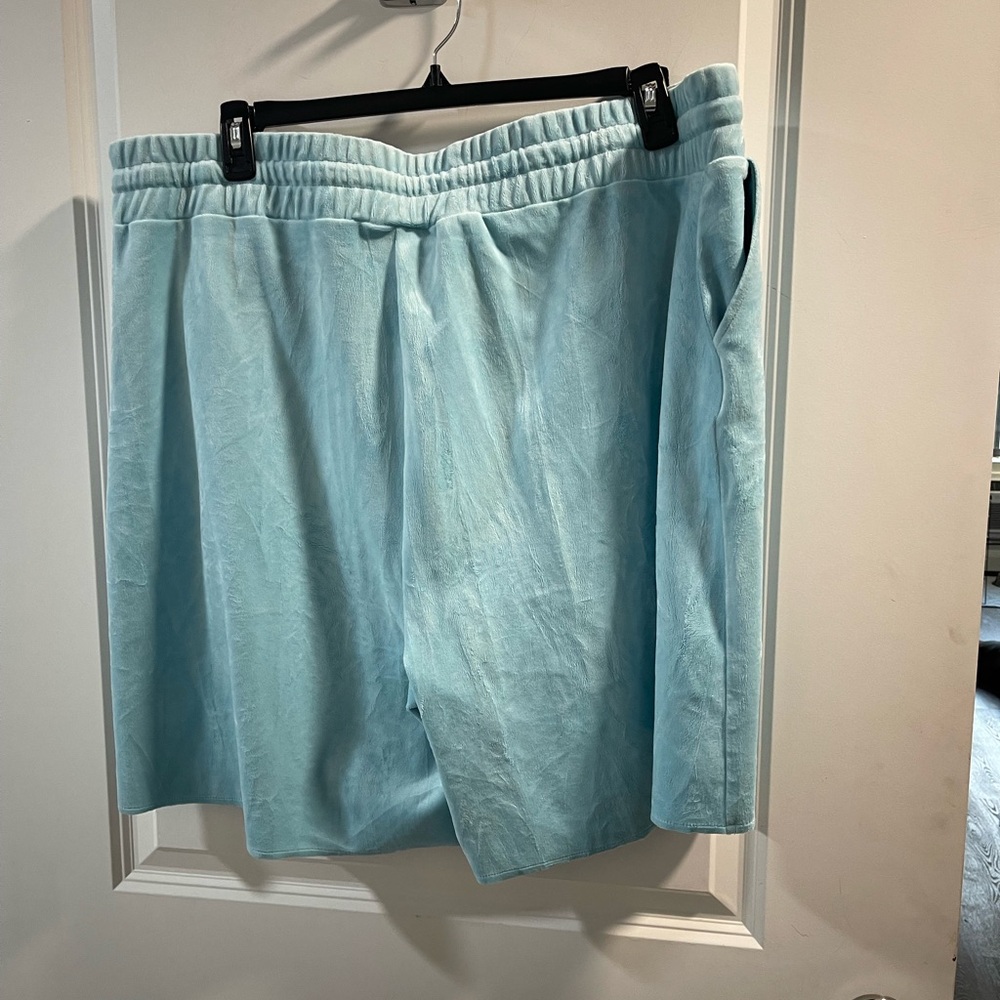 Juicy Couture Aqua Velour Shorts with Pink Logo Patch - Picture 3 of 5